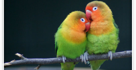 Conscious Relating Weekend Retreat