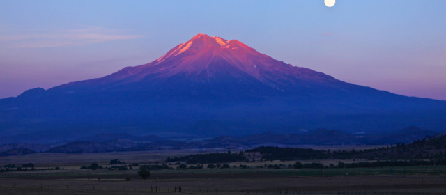 Hello & Welcome to the Awareness Institute Blog