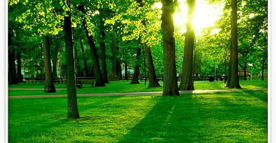 Spring Community Picnic