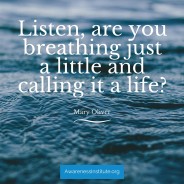 This Moment Will Never Happen Again