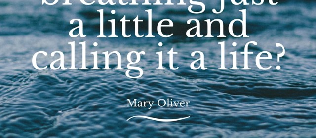 This Moment Will Never Happen Again