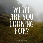 Hidden Treasures Found Within