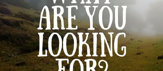 Hidden Treasures Found Within