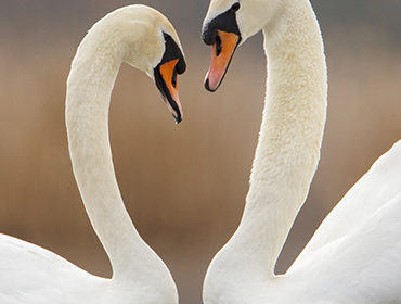 Learning to love begins with you – an inspiring testimonial about the ‘Conscious Relating’ Workshop